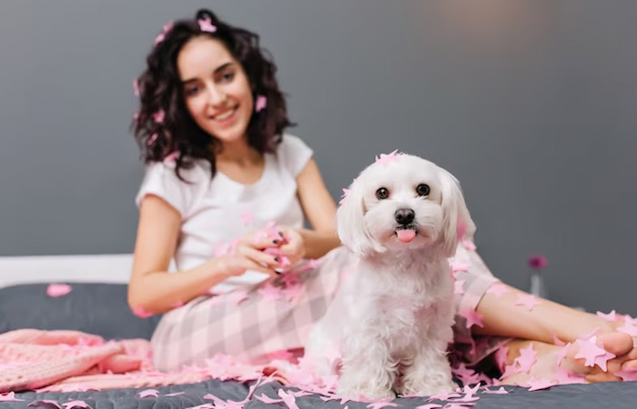 Can You Use Baby Shampoo on Dogs? A Comprehensive Guide